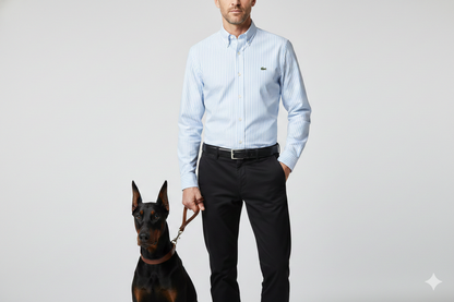 CAMISA MANGA LARGA LACOSTE (LAC) AZUL CLARO RAYAS BLANCAS